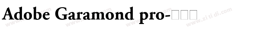 Adobe Garamond pro字体转换